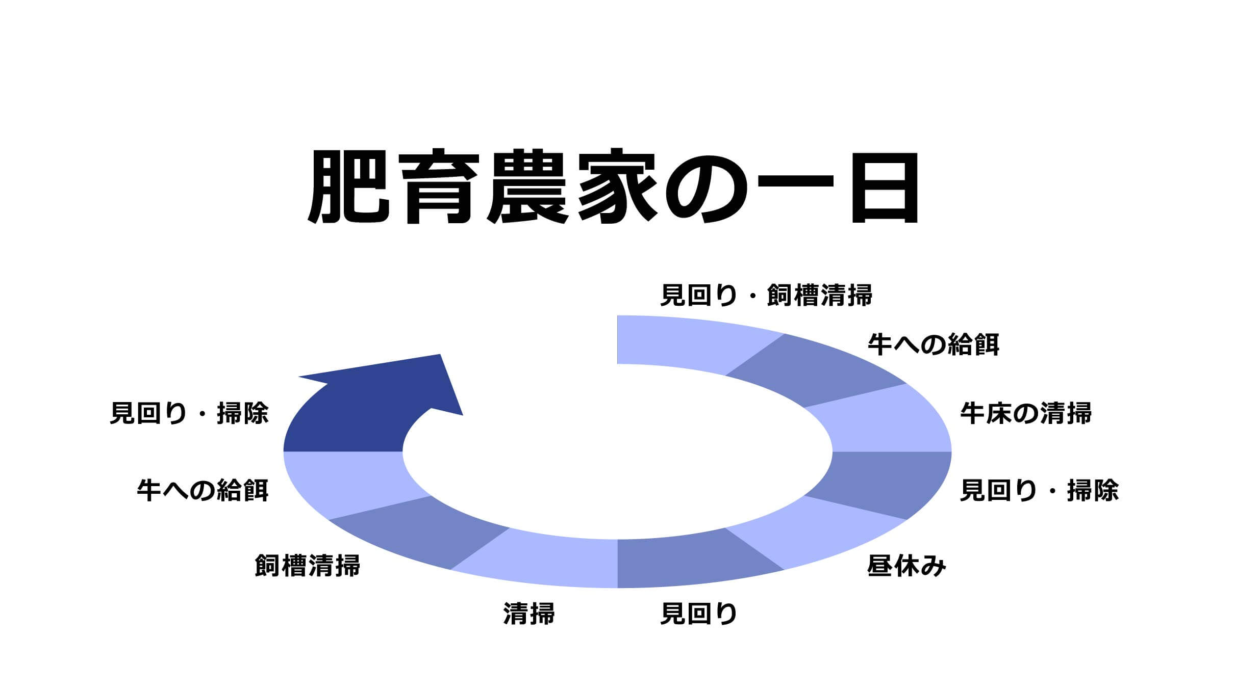 肥育農家の一日